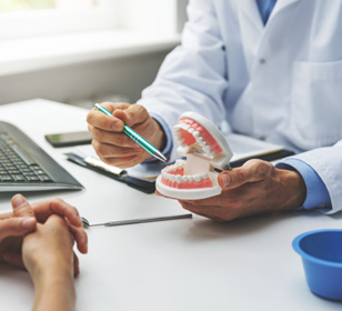 Dentist pointing to model of teeth